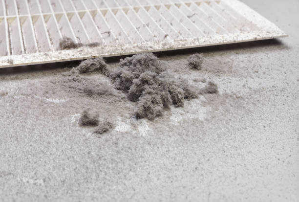 Best Air Duct Cleaning Near Me  in Mountain View Ranches, AZ