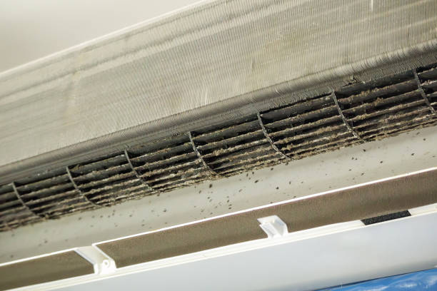 Reliable Mountain View Ranches, AZ Airduct Cleaning Solutions